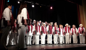 collado-villalba-20191109-matritum-portada